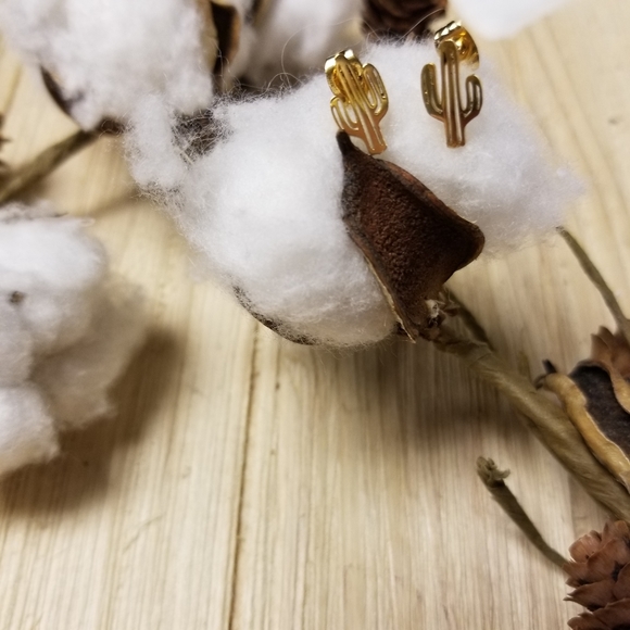🌵🌵So Cute Stainless Steel Cactus earrings 🌵🌵 - Picture 7 of 8